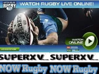 Reds vs Brumbies Live Streaming Online Free Super 15 Rugby W
