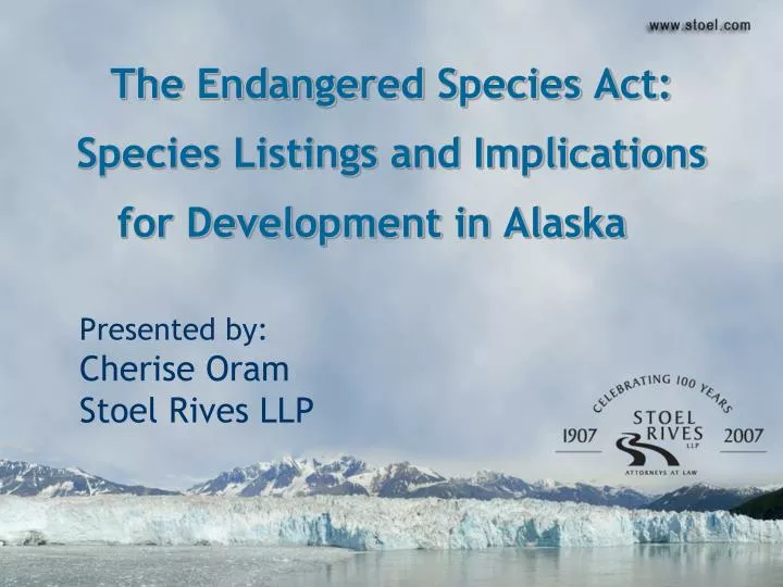 the endangered species act species listings and implications for development in alaska
