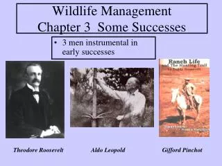 Wildlife Management Chapter 3 Some Successes