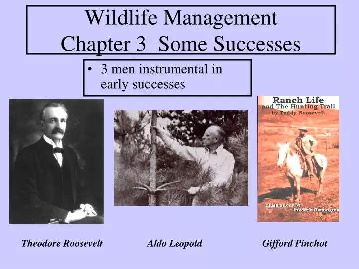 wildlife management chapter 3 some successes