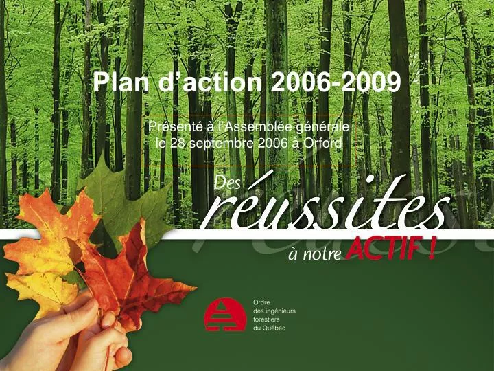 plan d action 2006 2009