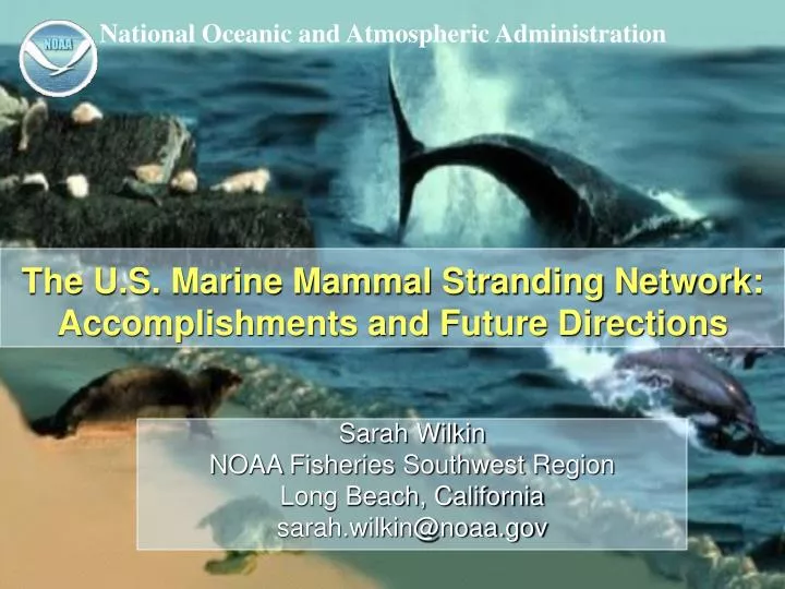 the u s marine mammal stranding network accomplishments and future directions