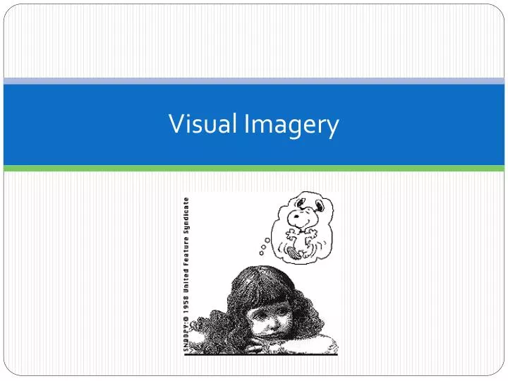 visual imagery