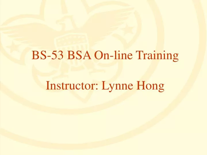 bs 53 bsa on line training instructor lynne hong