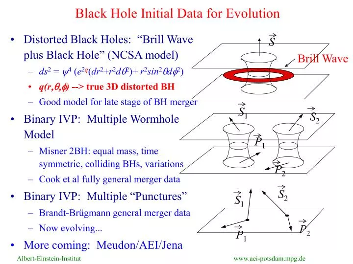 black hole initial data for evolution