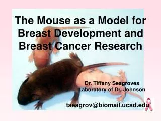 The Mouse as a Model for Breast Development and Breast Cancer Research