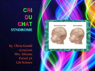 C R I D U C H A T SYNDROME by: Olivia Gerald 12|o9|2011 Mrs. Abrams Period 3A Life Science