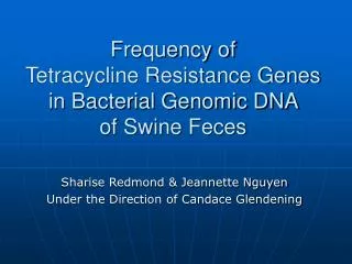 Frequency of Tetracycline Resistance Genes in Bacterial Genomic DNA of Swine Feces