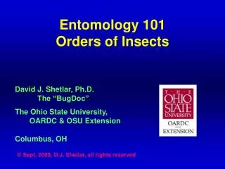 Entomology 101 Orders of Insects
