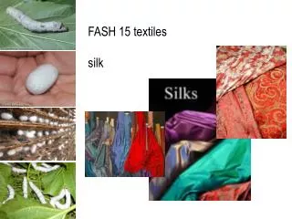 FASH 15 textiles silk