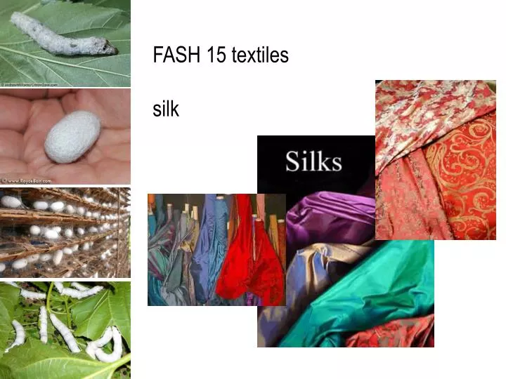 PPT - FASH 15 textiles silk PowerPoint Presentation, free download - ID ...