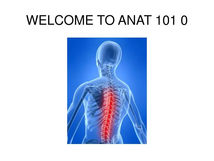 welcome to anat 101 0