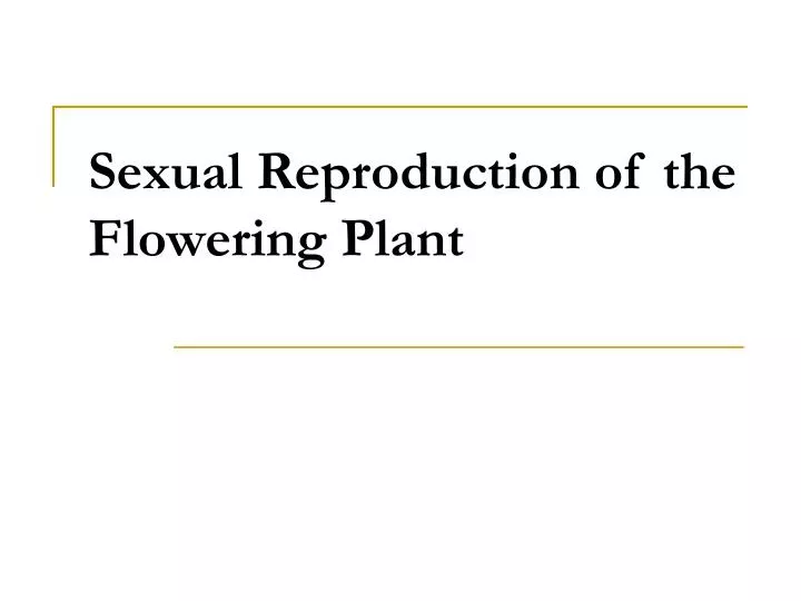 sexual reproduction of the flowering plant