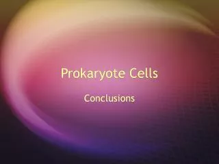 Prokaryote Cells