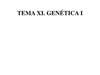 tema xi gen tica i
