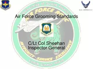 Air Force Grooming Standards C/Lt Col Sheehan Inspector General