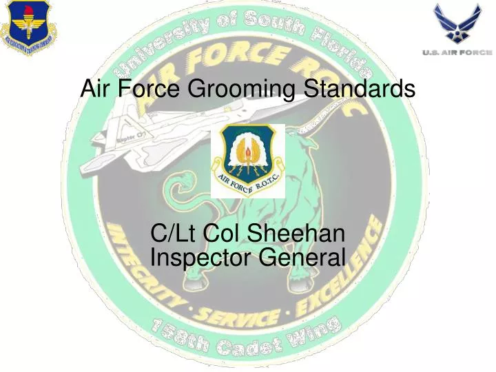 air force grooming standards c lt col sheehan inspector general