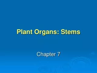 Plant Organs: Stems