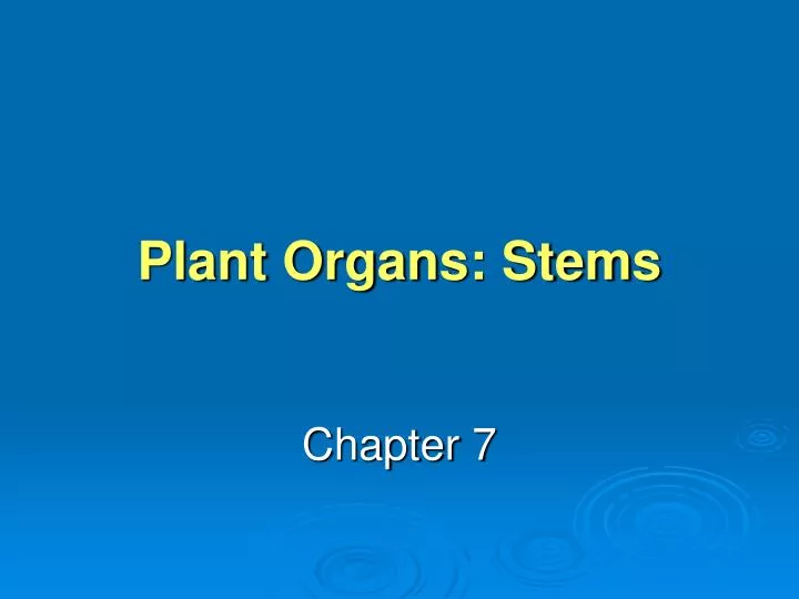 plant organs stems