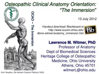 Osteopathic Clinical Anatomy Orientation: “The Immersion”