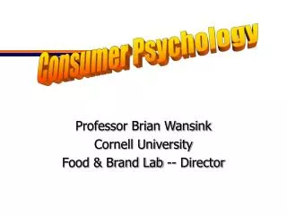 Professor Brian Wansink Cornell University Food &amp; Brand Lab -- Director