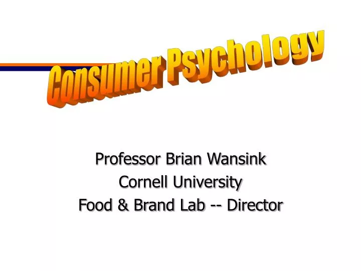 professor brian wansink cornell university food brand lab director