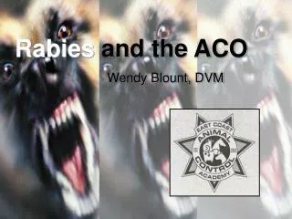 Rabies and the ACO