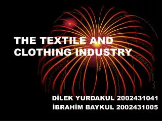 THE TEXTILE AND CLOTHING INDUSTRY