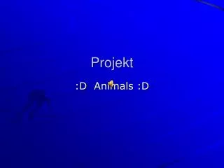 projekt