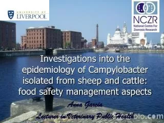 Investigations into the epidemiology of Campylobacter isolated from sheep and cattle: food safety management aspects