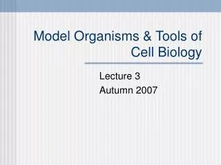 Model Organisms &amp; Tools of Cell Biology
