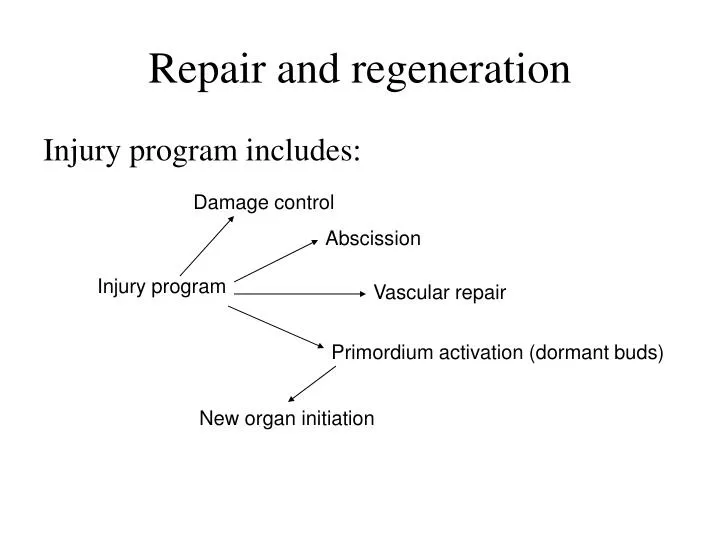repair and regeneration