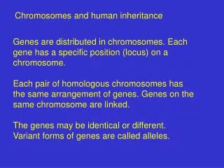 Chromosomes and human inheritance