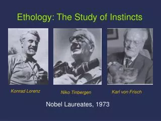 Ethology: The Study of Instincts
