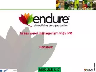 Grass weed management with IPM Denmark