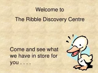 Welcome to The Ribble Discovery Centre