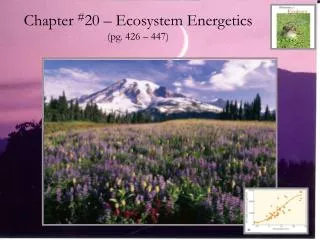 Chapter # 20 – Ecosystem Energetics (pg. 426 – 447)