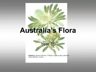 Australia’s Flora