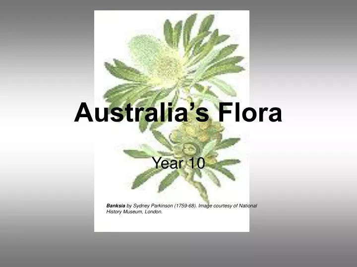 australia s flora