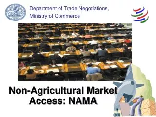 non agricultural market access nama