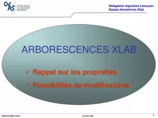 ARBORESCENCES XLAB