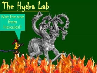 The Hydra Lab
