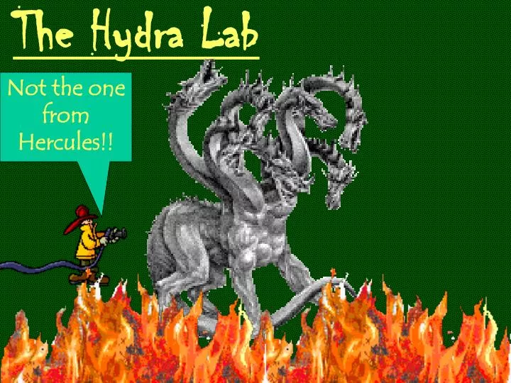 the hydra lab