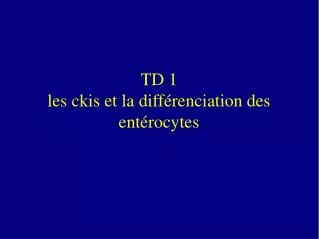 td 1 les ckis et la diff renciation des ent rocytes