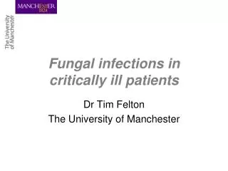 Fungal infections in critically ill patients