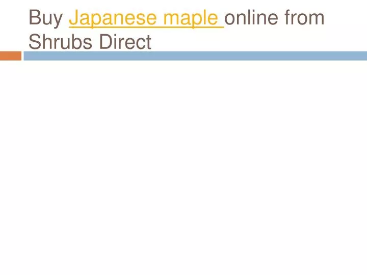 buy japanese maple online from shrubs direct