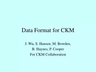 Data Format for CKM