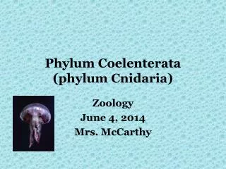 Phylum Coelenterata (phylum Cnidaria)