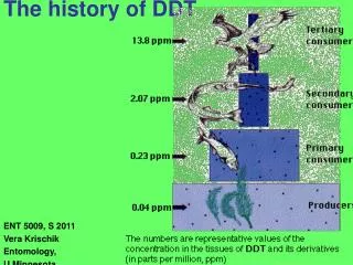 The history of DDT
