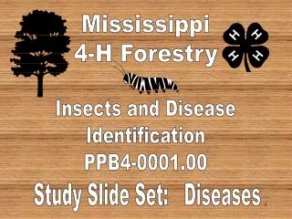 Mississippi 4-H Forestry